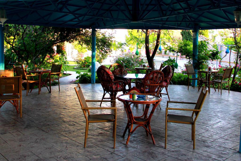 Hotel Dimitra Sun Archangelos  Extérieur photo
